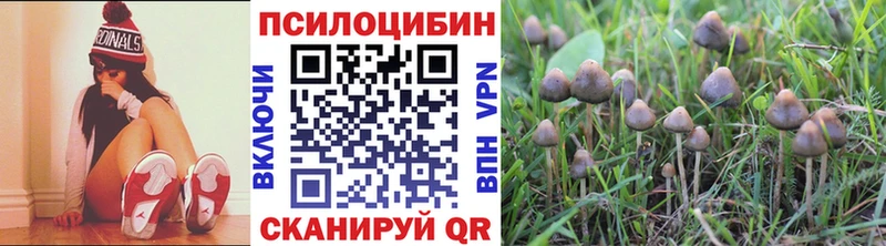 Псилоцибиновые грибы мицелий  маркетплейс официальный сайт  Усолье-Сибирское  МЕГА ссылки 