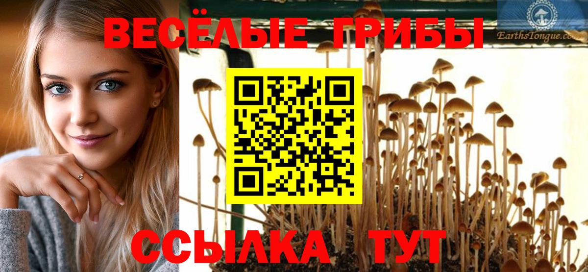 Галлюциногенные грибы ЛСД Усолье-Сибирское
