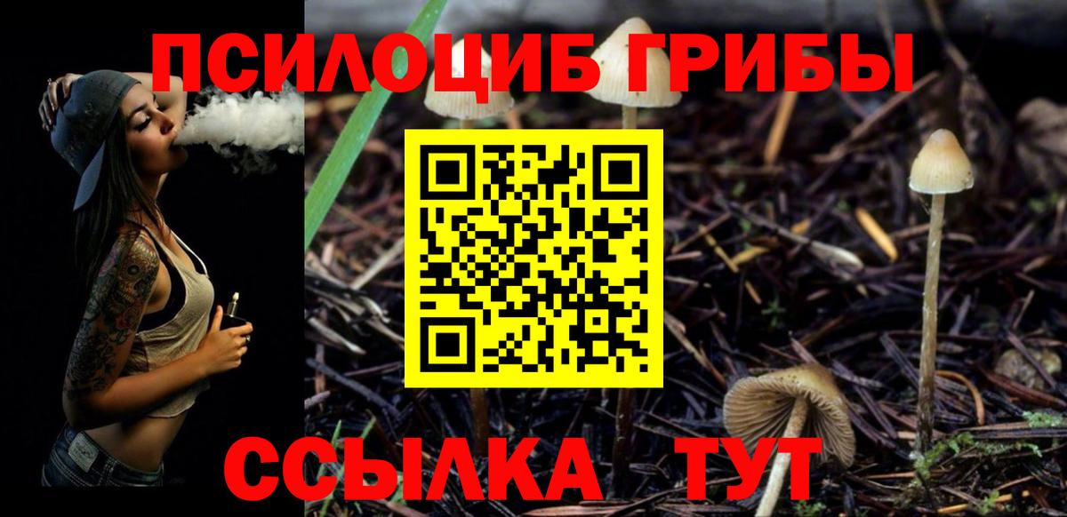 Усолье-Сибирское  Псилоцибиновые грибы Magic Shrooms  наркошоп  Вход с VPN 